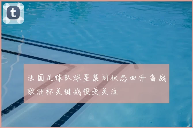 法国足球队球星集训状态回升 备战欧洲杯关键战役受关注