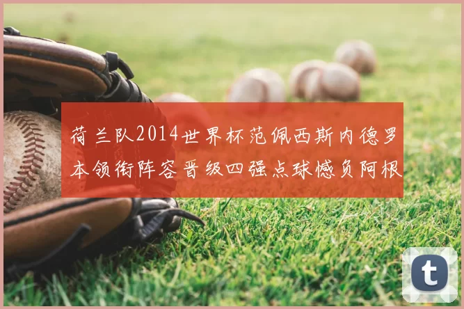 荷兰队2014世界杯范佩西斯内德罗本领衔阵容晋级四强点球憾负阿根廷